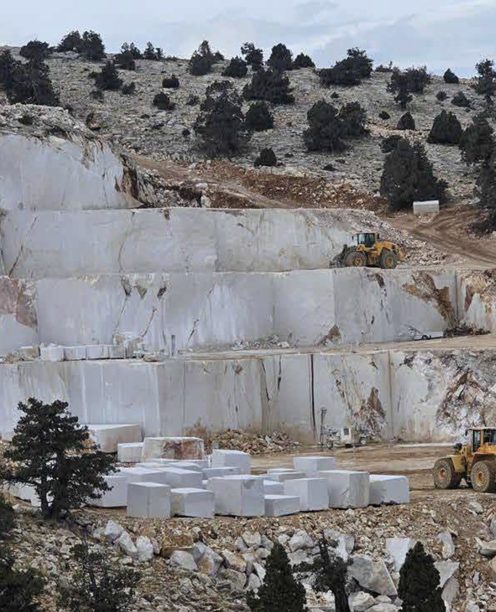 Damar karakterli blok ocağı